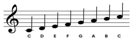 Musical Scale